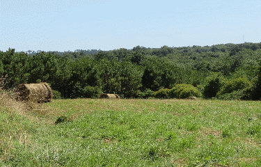 SOUBRAN 8 KM-charente-maritime