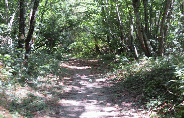 SOUBRAN 8 KM-charente-maritime