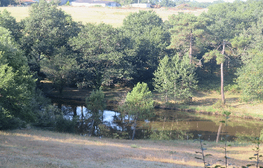 RANDO LA GENETOUZE 10 KM-charente-maritime