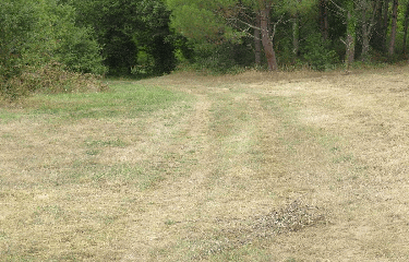 NEUVICQ 6 KM-charente-maritime