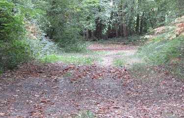 ST-PALAIS-DE-NEGRIGNAC - 7.4 KM-charente-maritime