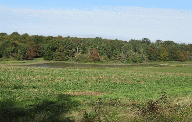 RANDO ALLAS-BOCAGE 9 KM-charente-maritime