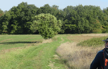 RANDO ALLAS-BOCAGE 9 KM-charente-maritime