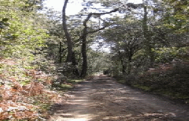 LA FLOTTE EN RE-charente-maritime