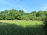 RANDO SAINT PIERRE DU PALAIS 17.3 KM-charente-maritime