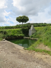 RANDO SEMILLAC 5 KM-charente-maritime