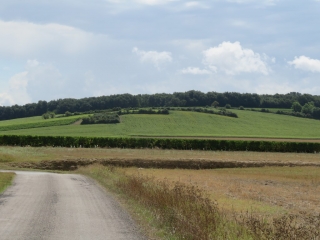 RANDO ST-DIZANT-DU-GUA 10 KM-charente-maritime