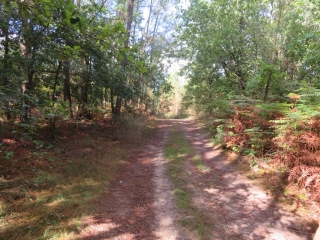 RANDO CERCOUX 9 KM-charente-maritime