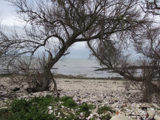 LA FLOTTE - ABBAYE DES CHATELIERS-charente-maritime