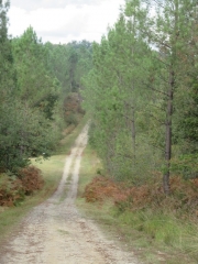 RANDO SAINT-AIGULIN 13.3 KM-charente-maritime