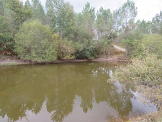 RANDO SAINT-AIGULIN 13.3 KM-charente-maritime