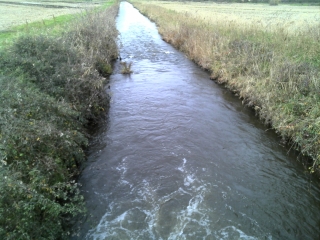 SOULIGNONNE-charente-maritime
