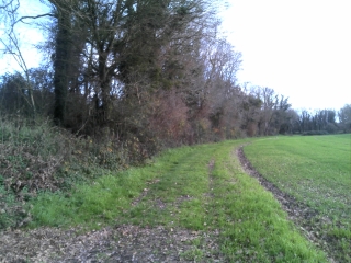 SOULIGNONNE-charente-maritime