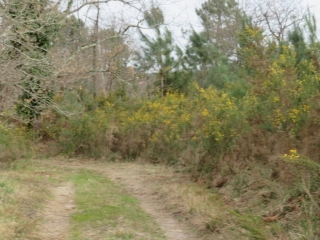 RANDO LE FOUILLOUX 19 KM-charente-maritime