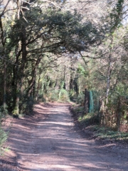 RANDO ST PALAIS SUR MER 17.5 KM-charente-maritime