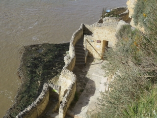 RANDO MESCHERS 17.6 KM-charente-maritime