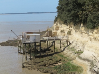 RANDO MESCHERS 17.6 KM-charente-maritime