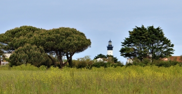 RANDONNEE ST DENIS D OLERON-charente-maritime