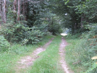 RANDO MONTLIEU-LA-GARDE 18 KM-charente-maritime