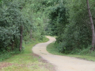 RANDO MONTGUYON 15.7 KM-charente-maritime