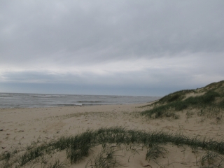 ARS-EN-RE-charente-maritime