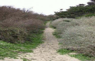 ARS-EN-RE-charente-maritime