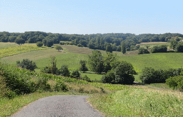 RANDO CHATENET 14 KM-charente-maritime