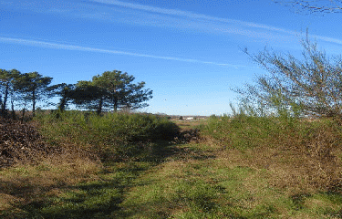 RANDO ST MARTIN DE COUX 6.2 KM-charente-maritime