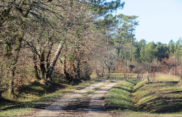 RANDO LA BARDE 10.5 KM-charente-maritime