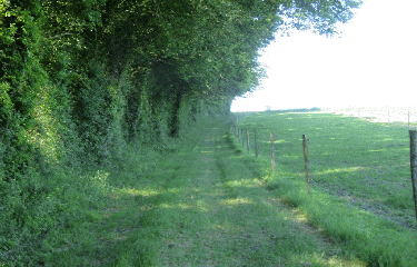 RANDO VANZAC 12 KM-charente-maritime