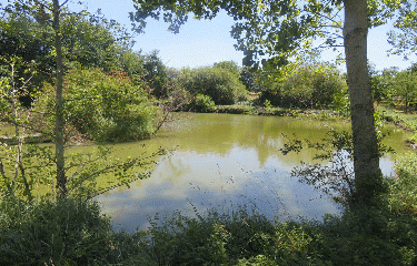 RANDO ROUFFIGNAC 6 KM-charente-maritime