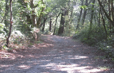RANDO CERCOUX 14.2 KM-charente-maritime