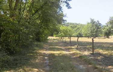RANDO CERCOUX 14.2 KM-charente-maritime