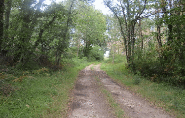 RANDO CONSAC 8.61 KM-charente-maritime