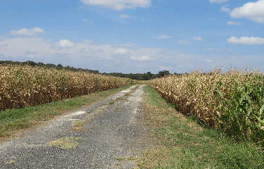 RANDO CONSAC 8.61 KM-charente-maritime