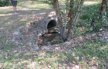 RANDO ST GEORGES DE AGOUTS 9.2 KM-charente-maritime