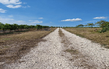 RANDO CHAUNAC 10 KM-charente-maritime