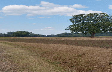 RANDO CHAUNAC 10 KM-charente-maritime