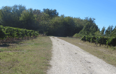 RANDO POLIGNAC 12.36 KM-charente-maritime