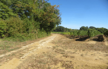 RANDO POLIGNAC 12.36 KM-charente-maritime