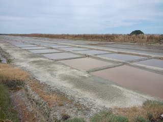 L ILE DE RE  - TOUR DU PHARE DE LA BALEINE-charente-maritime