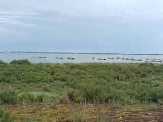 L ÎLE DE RE 17 - POINTE DU GROUIN-charente-maritime