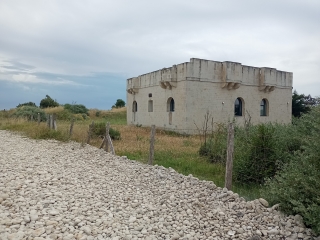 L ÎLE DE RE 17 - POINTE DU GROUIN-charente-maritime