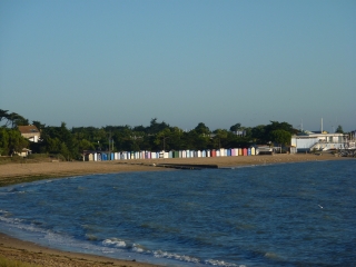 ILE D OLERON - MARAIS-SAINT-PIERRE-charente-maritime