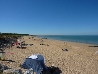 ILE D OLERON - FORET DES SAUMONARDS-charente-maritime