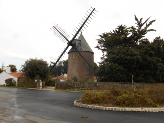 LA COUARDE-SUR-MER  - SAINT-MARTIN-DE-RE-charente-maritime