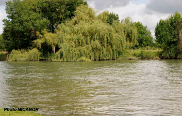 Crazannes-charente-maritime