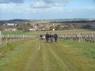 BARZAN - ARCES SUR GIRONDE-charente-maritime