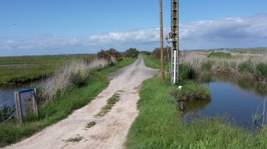  MARAIS DE MOEZE - BROUAGE-charente-maritime