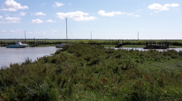  MARAIS DE MOEZE - BROUAGE-charente-maritime